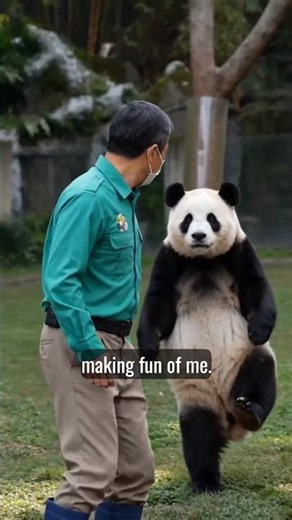 🐼 Panda Perfectly Mimics His Keeper 😂 | Funniest Panda Moments Ever!