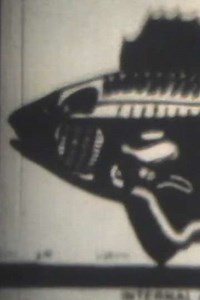 Something Fishy - Movie