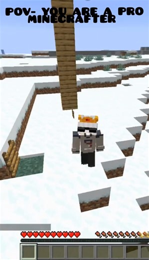 |Pov:You Are A Pro Minecrafter| #shorts #trending #viral #viralshorts #minecraft