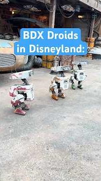 BDX Droids in Disneyland: Highlights from May 2026