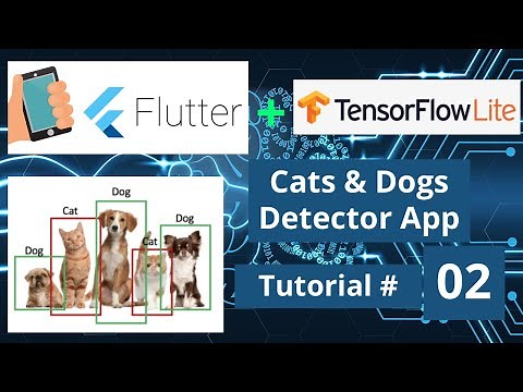 Flutter Splash Screen - Cat Dog Classification TensorFlow Lite App || Machine Learning Mobile Course