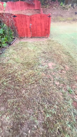 Gofresh Lawn Care #lawnservice #graphicdesigner #decals #beforeandafter #lawncare #lawnmaintenance #lawnmowing #lawnlove #landscaping #yardwork #lawncareprofessional #lawncarebusiness #tallgrass #lawnguru #gofresh #newmowerblades #deadgrass #advanceautoparts #lawndesigner #bikelife #leafblowing #mulching #podcast #drumbrakes #truckrepair #07-13sierra #mulch #ktm520 #adobeillustrator #highlight | Gofresh Graphics