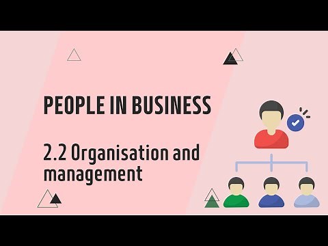 IGCSE Business Studies: Chapter 2.2 Organisation and management