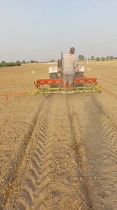 143K views · 1.6K reactions | BT Cotton farming in Rajasthan new technology new seed कपास के किसानों में नया ट्राई किया कहा ओरिजिनल की गारंटी है | Agriculture farmer | Facebook