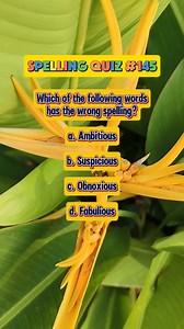 Spelling Quiz #145. #spellingbee #spelling #spellingchallenge #spellingbeechallenge #learnenglish #learningisfun #learning #learnsomethingnew | Learn English