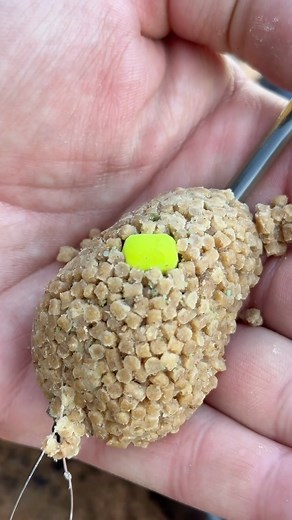 9K views · 509 reactions | Tackle Guru Benelux on Reels | Facebook