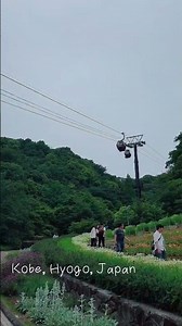 This hidden gem is must-see in Kobe: Nunobiki Herb Gardens & Ropeway #japan #kobe #hyogo #cablecar
