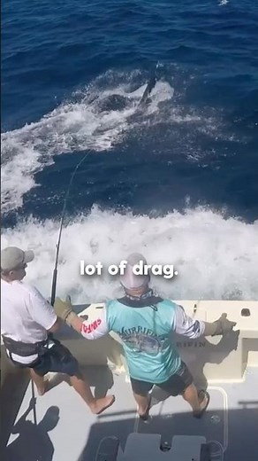 How to Handle a Deep Diving Marlin