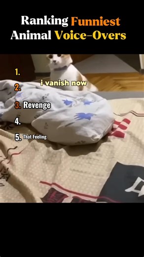 Ranking Funniest Animal Voice-Overs 🤣