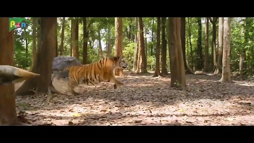 Pulimurugan (2016) Watch HD - Part 01