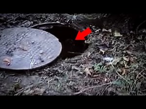 5 Sewer Monsters Caught On Camera & Spotted In Real Life!