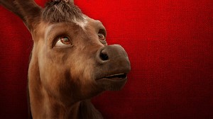 Iwan i zaczarowany kucyk (2021) Lektor PL