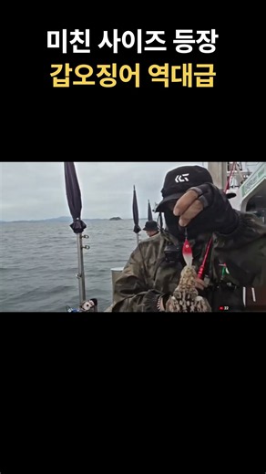 미친사이즈 갑오징어등장!! #낚시 #생활낚시 #fishing#갑오징어낚시