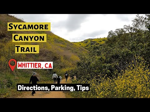 Hiking Sycamore Canyon Trail Guide -Whittier, CA -Family Fun Hike