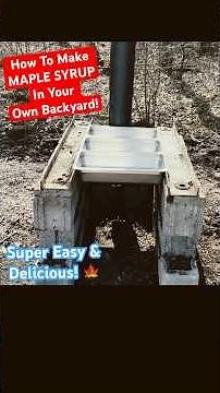 DIY MAPLE SYRUP (IN YOUR OWN BACKYARD!) #maplesap #sugarmaples #maplesapevaporator #maplesyrup