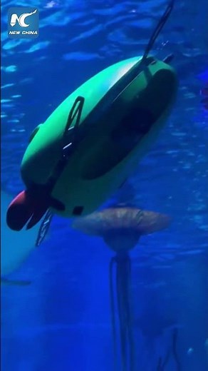 Dive into future with bionic sea creatures