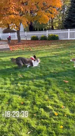 4K views · 61 reactions | All Recipes Network on Reels | Facebook