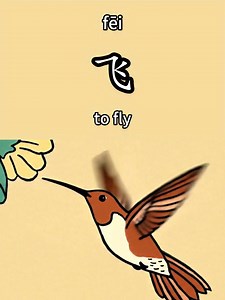 飞｜To fly in Chinese @topfans Ready to dive into the world of Chinese language and culture? 🌍✨✨ Learn Chinese with me as we explore everything from basic phrases to mastering Mandarin fluency. Whether you're a beginner or looking to polish your skills, let's make learning fun and exciting together! Follow along for tips, lessons, and cultural insights that will bring you closer to China's rich heritage. Let's start this journey today! Hashtags: #learnchinese #mandarinlessons #chineselanguage #sp
