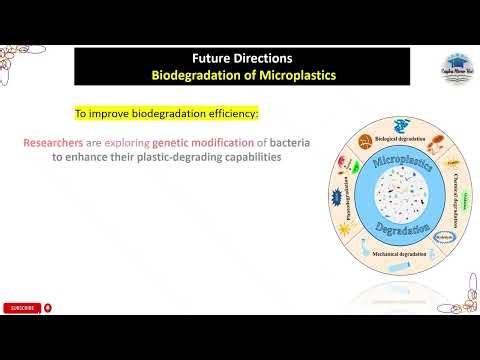 Future Directions | Biodegradation of Microplastic #microplastics #biodegradation #microbiology