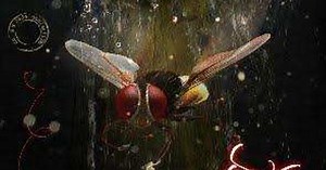 The Best Nani Movies