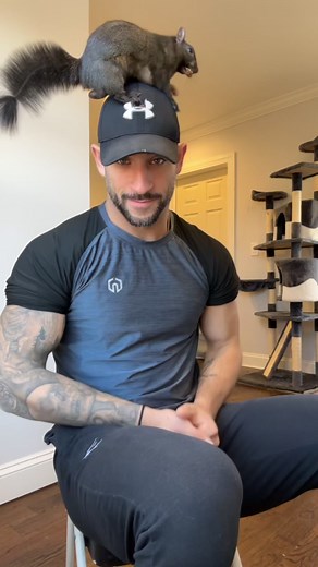 90K views · 3.8K reactions | Never a dull moment living with a squirrel !❤️️❤️! #fyp #fypp #fpy #viral #video #cute #fun #funny #happy #smile #insta #instagram #instago #instagood #instadaily #tiktok #pet #pets #animal #animals #follow #us #party #best #friends | A Squirrel Named Peanut | Facebook