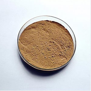[Hot Item] Free Sample for Bacillus Mucilaginosus 5 Billion Cfu/G Best Soil Enhancer