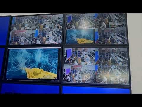 5U decoder test video