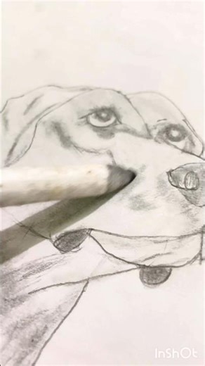 How to draw a realistic dog step by step #drawing #art #sketch #dog #sketch #shorts