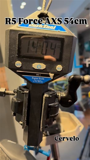 Sea Sports Cyclery & Outdoor on Reels