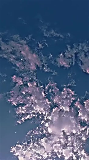 simo sampei su TikTok