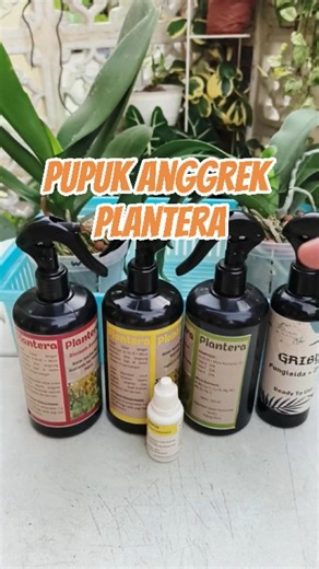 Pupuk Anggrek Plantera #pupukplantera #plantera #pupukanggrek #pupukbungaanggrek