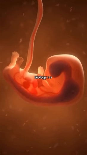 Schoolof Biology on Instagram: "The Journey of Life Begins ✨ From a single cell to a complex organism, watch the fascinating stages of embryo development unfold. 🧬 For biology students, this is where science meets the miracle of life! 🌟 Key Stages: 1️⃣ Zygote formation 2️⃣ Blastocyst development 3️⃣ Gastrulation 4️⃣ Organogenesis Dive into the wonder of how life forms step by step! 🌱 #EmbryoDevelopment #BiologyLovers #LifeScience #StemCells #Genetics #ScienceStudents #BioLearning #MiracleOfLi