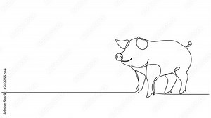 animated continuous single line drawing of domestic pig, line art animation