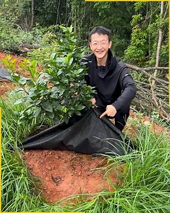 35K views · 144 reactions | Weed Control Fabric Boosts Tree Growth. #organicfarming #plantprotection | Fun club | Facebook