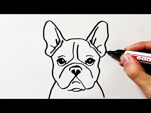 How to Draw a French Bulldog