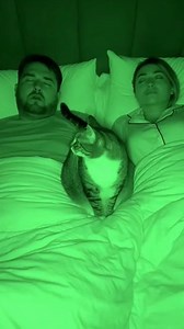 526K views · 2.4K reactions | Cat Had ENOUGH of His Snoring! (AI) | Crafty Panda | Facebook