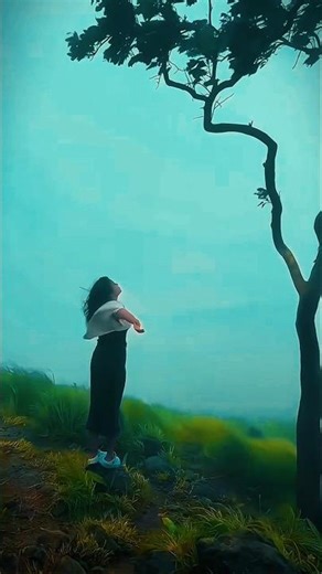 A beautiful nature animation videos #shorts #viral #animation #trending