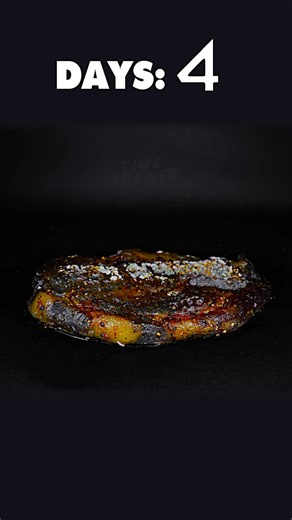 Rotting Steak in Timelapse 🪰😂#satisfying #decay #timelapse | Time Treats