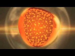 D3O® - THE WORLD’S BEST IMPACT PROTECTION