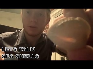 LET’S TALK SEA SHELLS PART 1