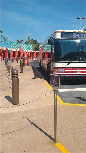 EPCOT Bus arrival at Disney's All Star Movies Resort