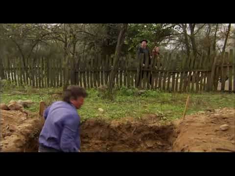 Selo gori, a baba se češlja (Šta li će da zida)