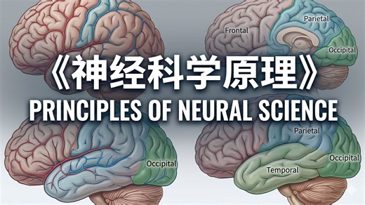 《神经科学原理 Principles of Neural Science》1：总览