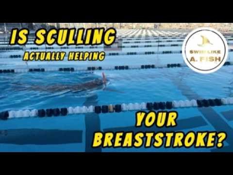 Is Sculling Actually Helping Your Breaststroke? (3 Signs Coaches Should Look For)