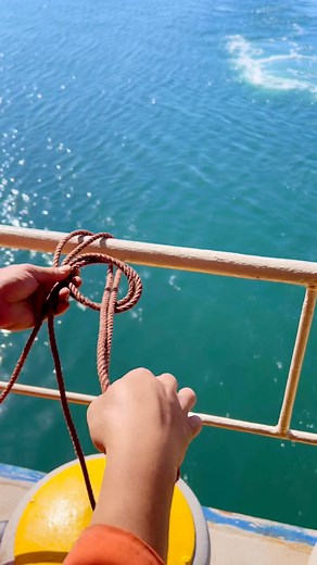 20K views · 59 reactions | The bowline is a knot that forms a fixed loop at the end of a rope, known for being secure and easy to untie even after being under a heavy load. #everyone #fblifestyle #reelsfb #reelsvideo #fbreelsfyp #fyp #TopFans #topfansfollowers #fbreels #topfanbadge #topfanbadge #howto #reelsfype #reelsfb #fb #foryou #camping #rope #tutorial #tips #tiktok #Outdoors #technique #highlightseveryone #easyknot #tricks #viral #climbing #camping #bowline | All About Knots | Facebook