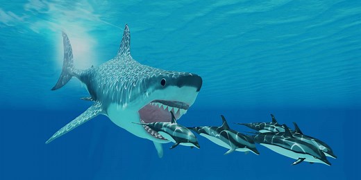 How Big Was the Monstrous Megalodon Shark?