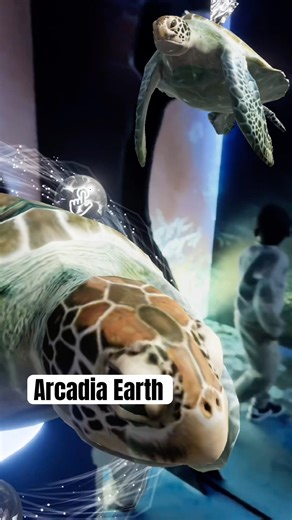 Reality| Arcadia Earth Visit in Toronto #new #fyp #funny #pt2