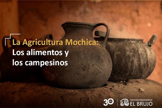 La Agricultura Mochica: Los Alimentos y los Campesinos