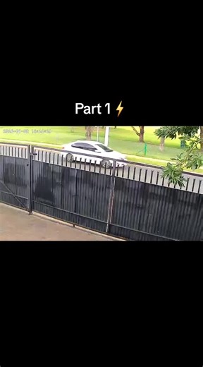 Thunder Strikes Tree: Mini-Documentary on Storm Effects