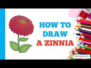 How to Draw a Zinnia: Easy Step by Step Drawing Tutorial for Beginners